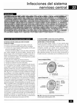 Microbiologia medica
