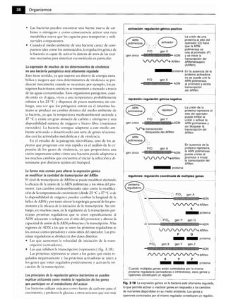 Microbiologia medica