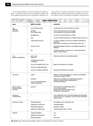 Microbiologia medica