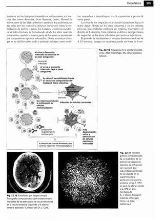 Microbiologia medica