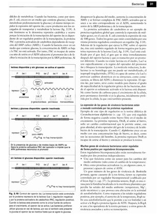 Microbiologia medica