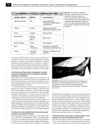 Microbiologia medica