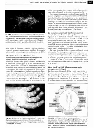 Microbiologia medica