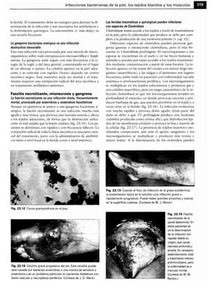 Microbiologia medica