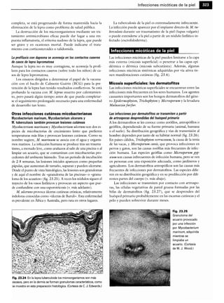 Microbiologia medica