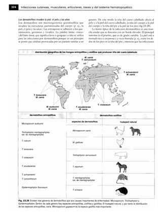 Microbiologia medica