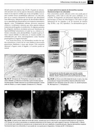 Microbiologia medica