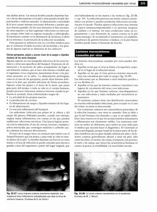 Microbiologia medica