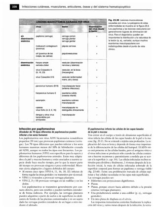 Microbiologia medica