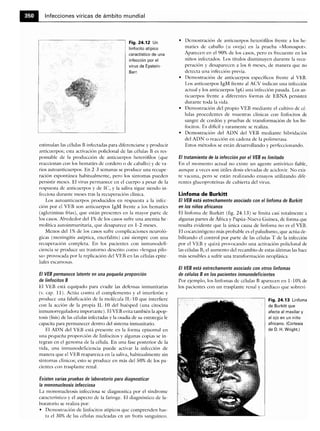 Microbiologia medica