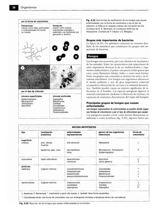 Microbiologia medica