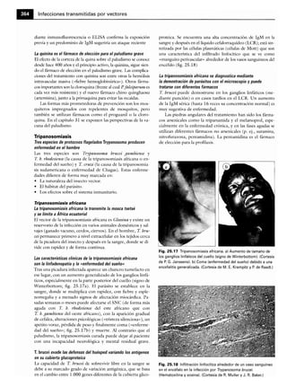 Microbiologia medica