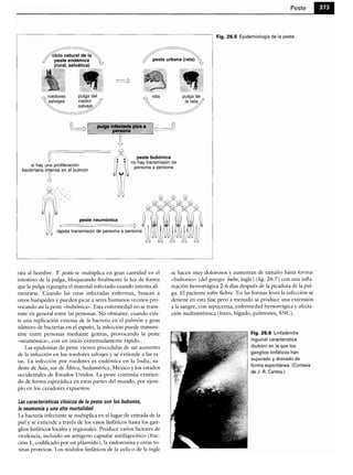 Microbiologia medica