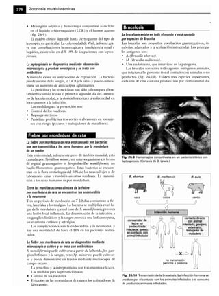 Microbiologia medica