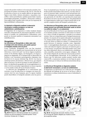 Microbiologia medica