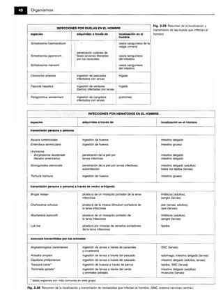 Microbiologia medica