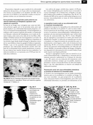 Microbiologia medica