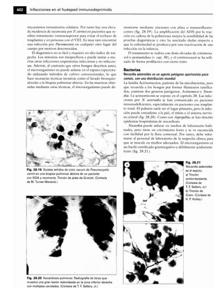 Microbiologia medica