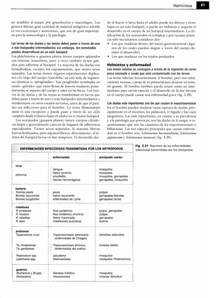 Microbiologia medica