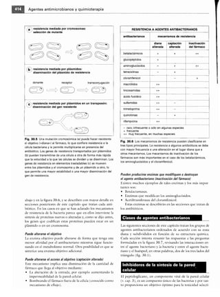 Microbiologia medica
