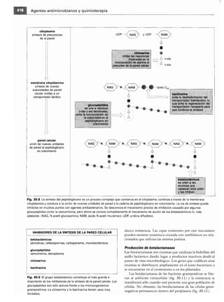 Microbiologia medica