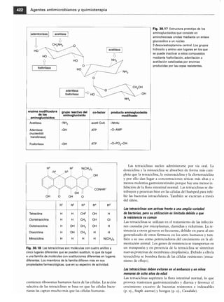 Microbiologia medica
