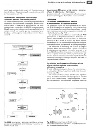 Microbiologia medica