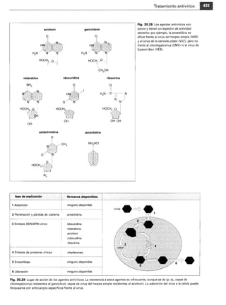 Microbiologia medica