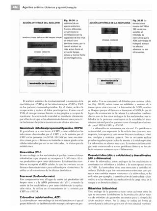 Microbiologia medica