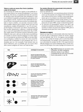 Microbiologia medica