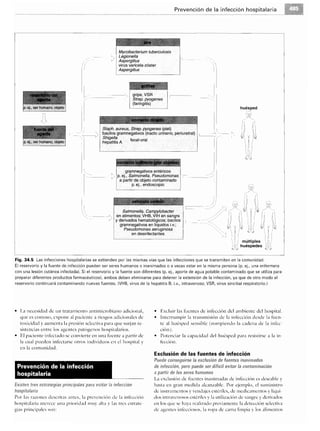 Microbiologia medica