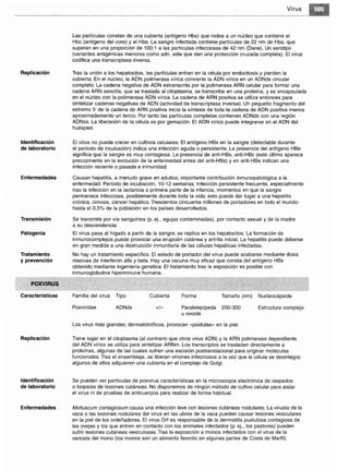 Microbiologia medica