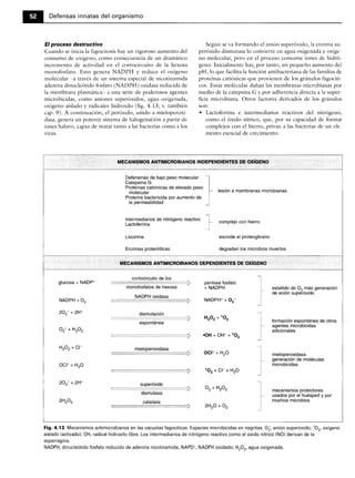 Microbiologia medica