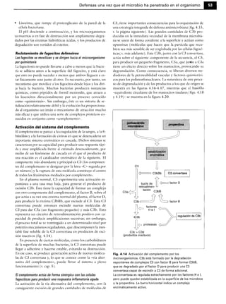 Microbiologia medica