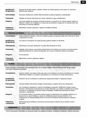 Microbiologia medica