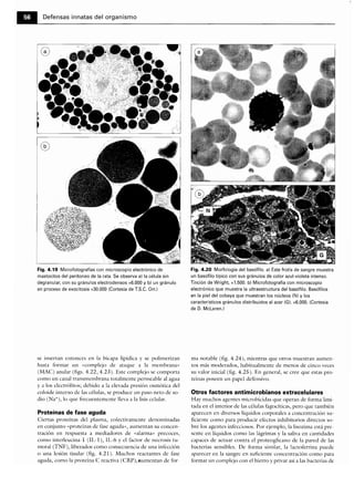 Microbiologia medica