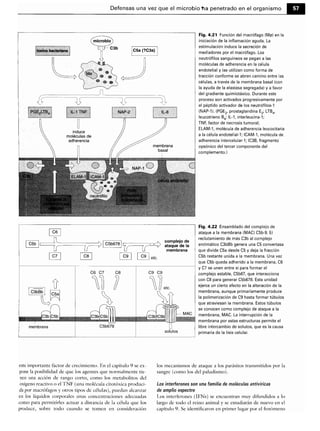 Microbiologia medica