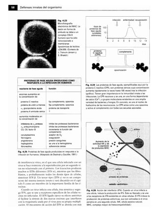 Microbiologia medica