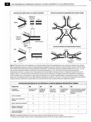 Microbiologia medica