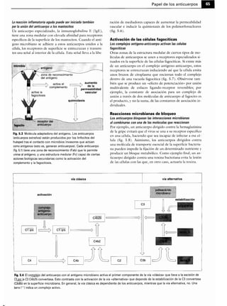 Microbiologia medica
