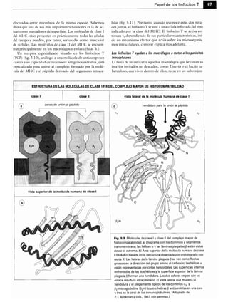 Microbiologia medica