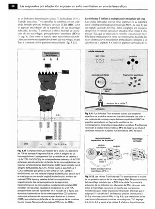 Microbiologia medica