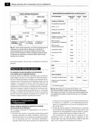 Microbiologia medica