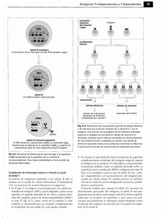 Microbiologia medica