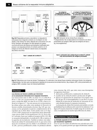 Microbiologia medica