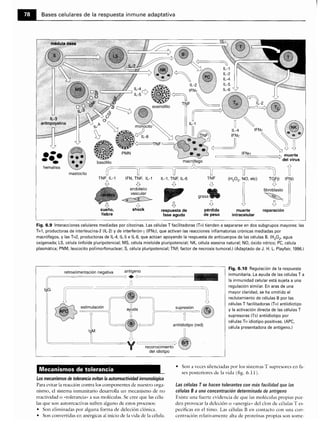 Microbiologia medica
