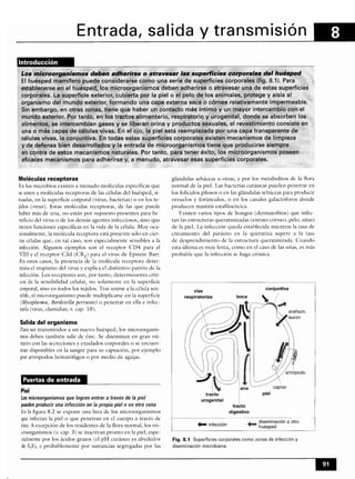 Microbiologia medica
