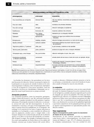 Microbiologia medica