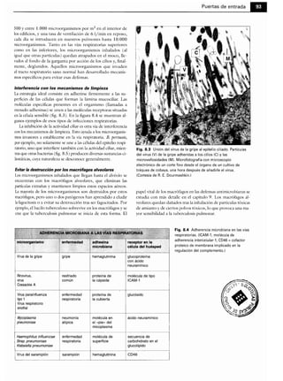 Microbiologia medica