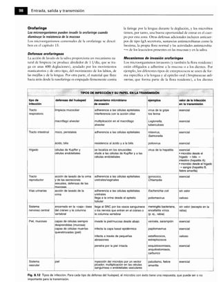 Microbiologia medica